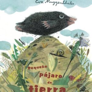 Pequeño pajaro de tierra